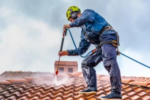 roof cleaning tacoma s5 hero