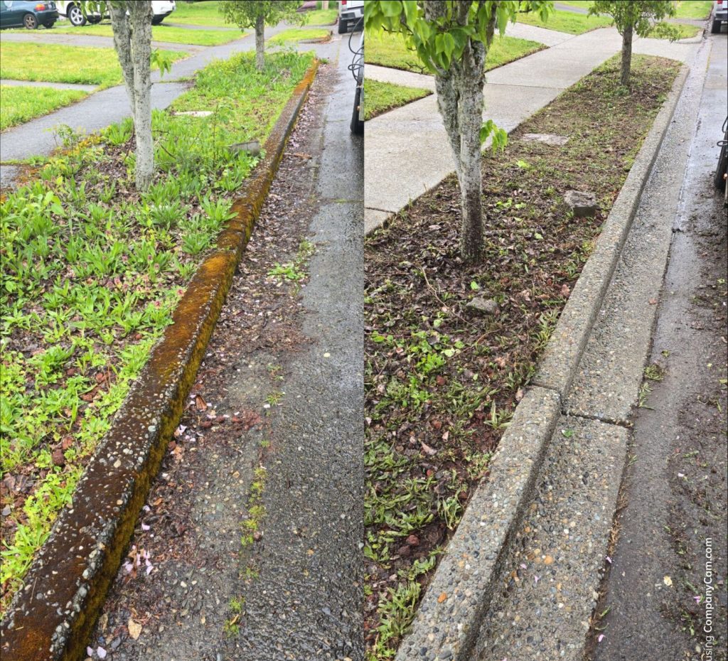 curb cleaning moss and algae in tacoma