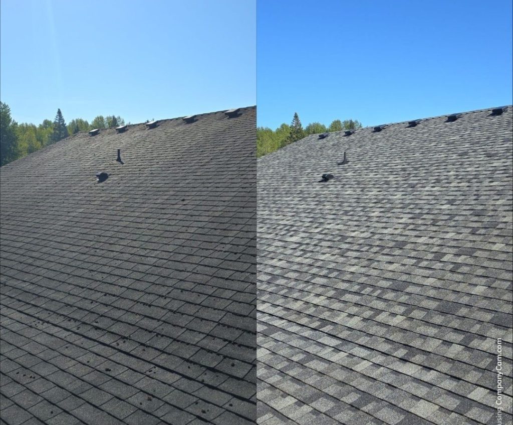 Black staining algae on roof in tacoma