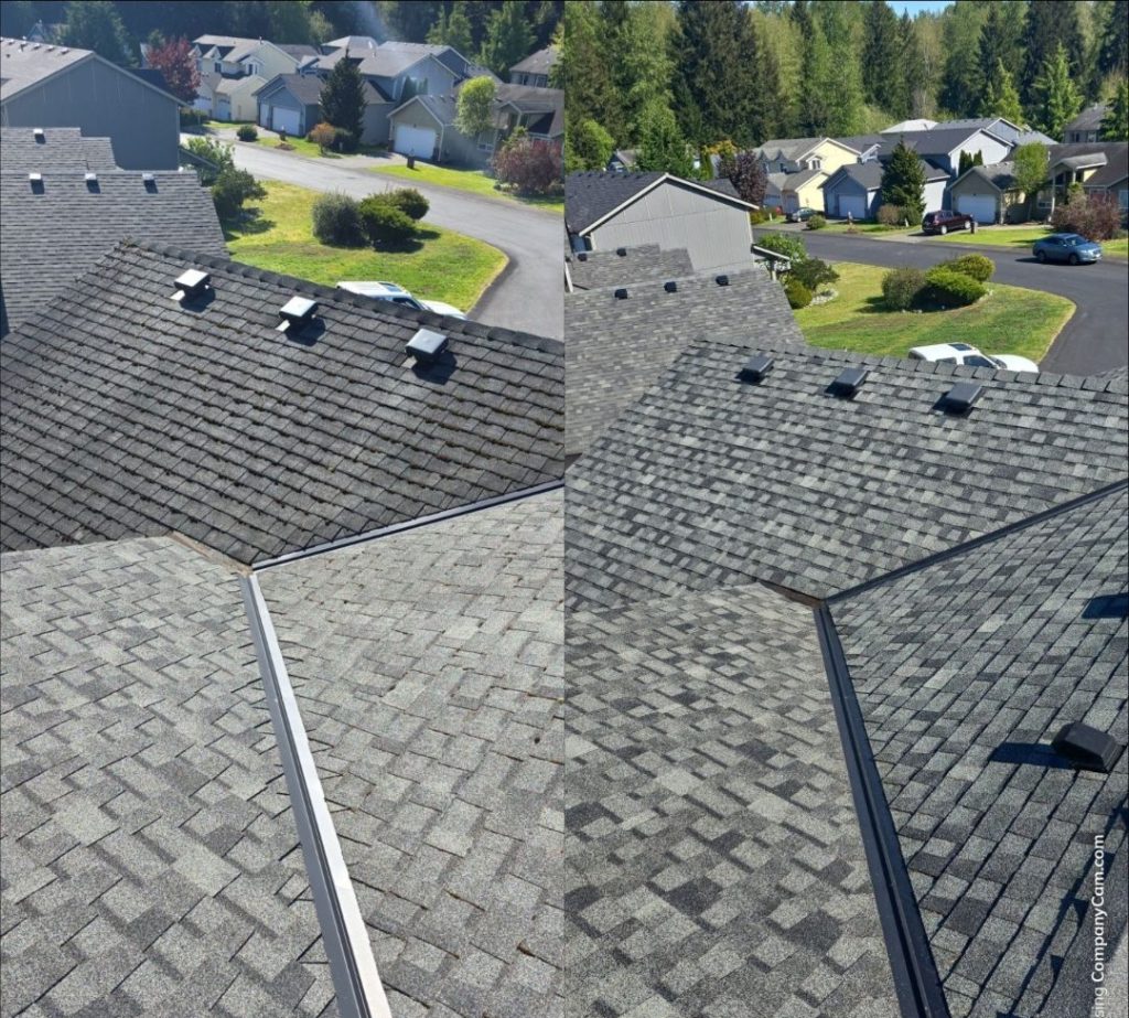 roof cleaning in tacoma with algae