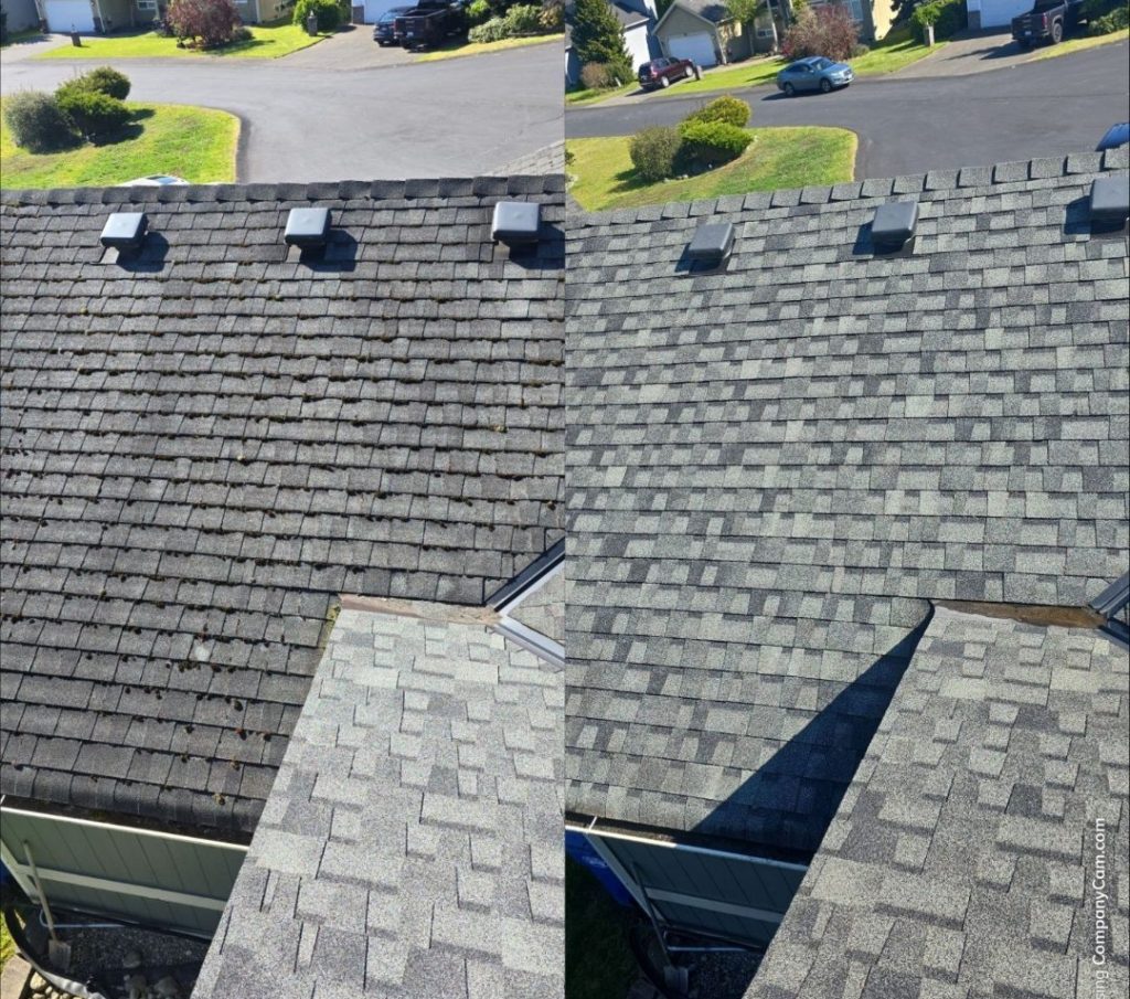 roof staining in tacoma and moss