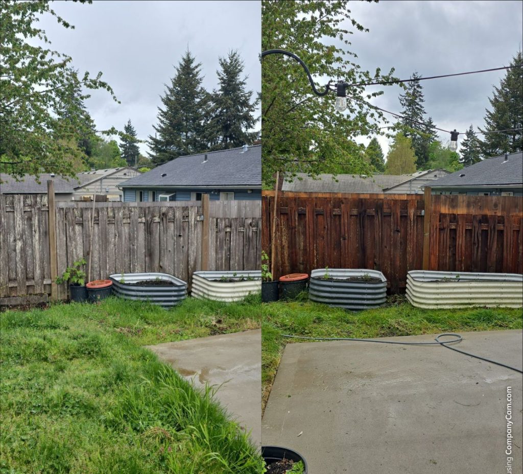 fence cleaning in tacoma removing black algae