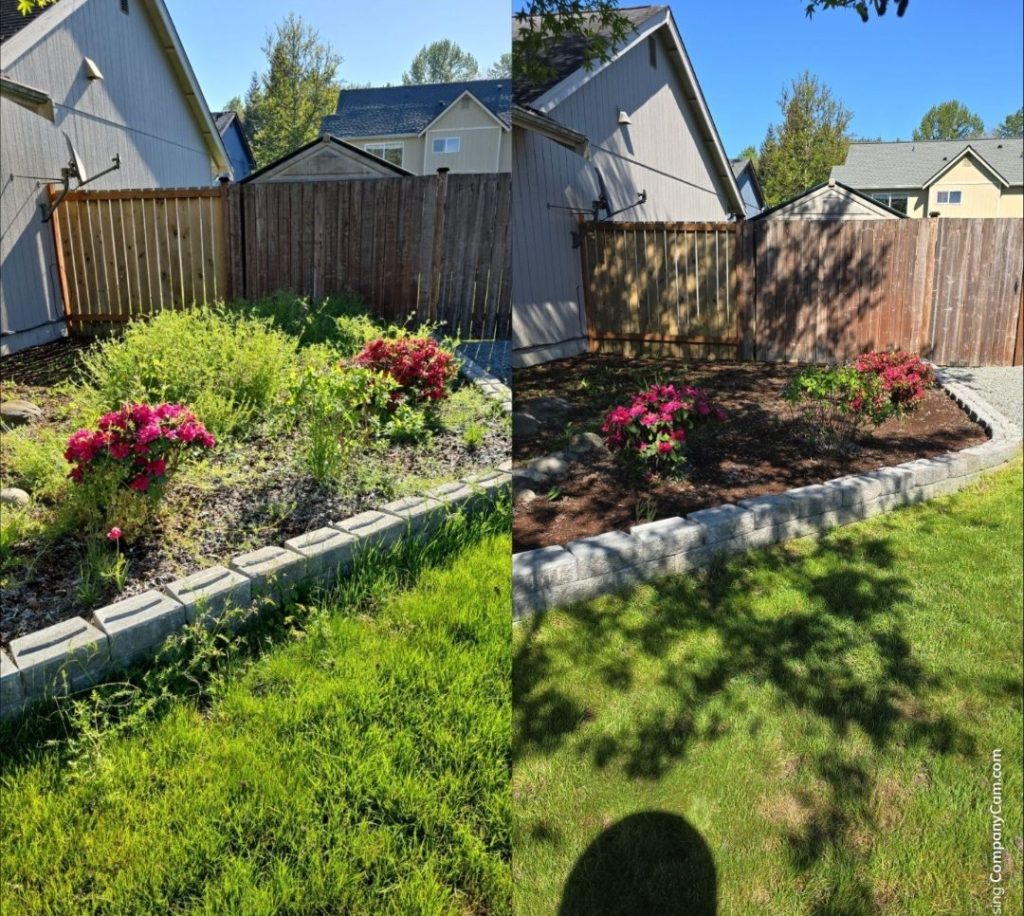 weeds pulled in garden bed in tacoma