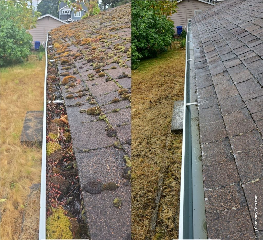 gutter cleanin