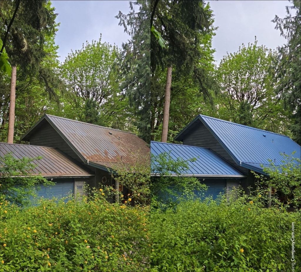 roof cleaning