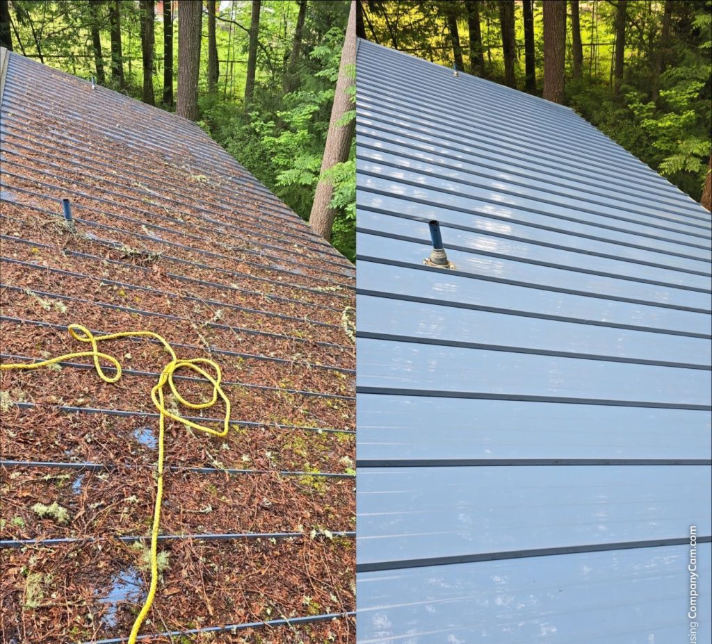 roof cleaning