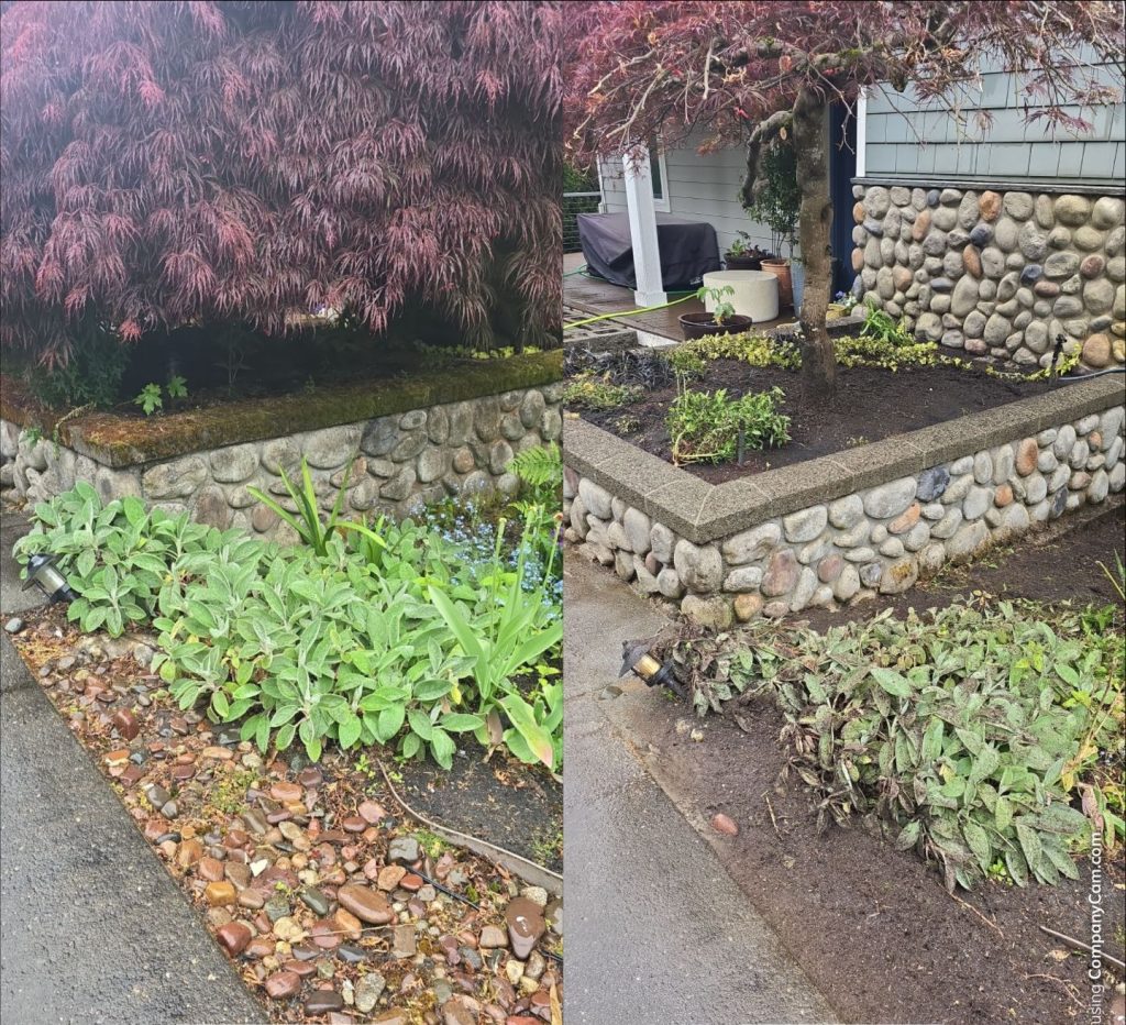 wall with moss