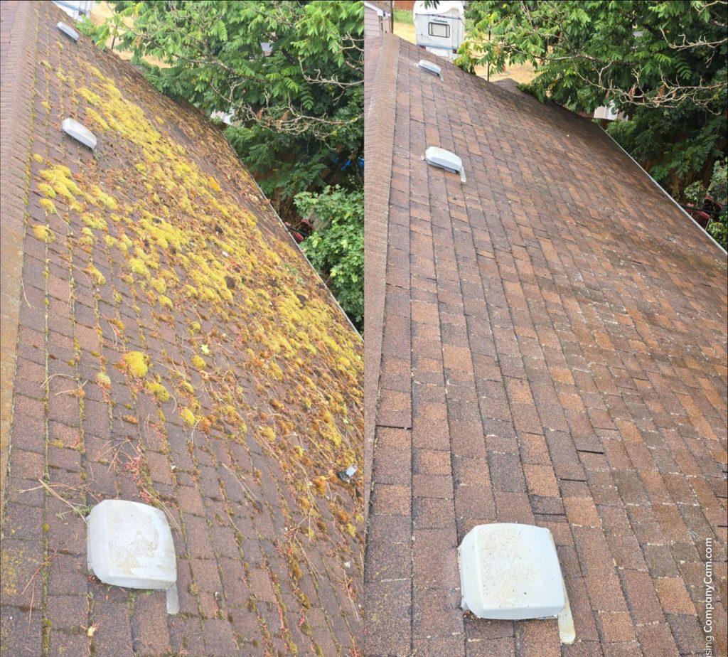 roof cleaning