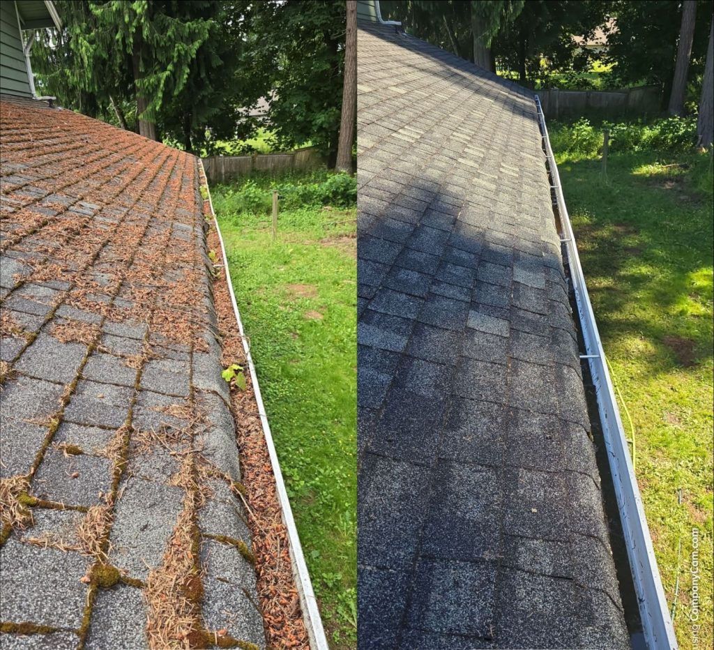 gutters cleaning
