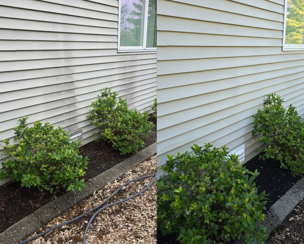 house wash in tacoma